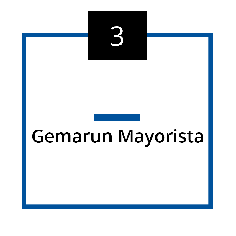 Curso Gemarun Mayorista